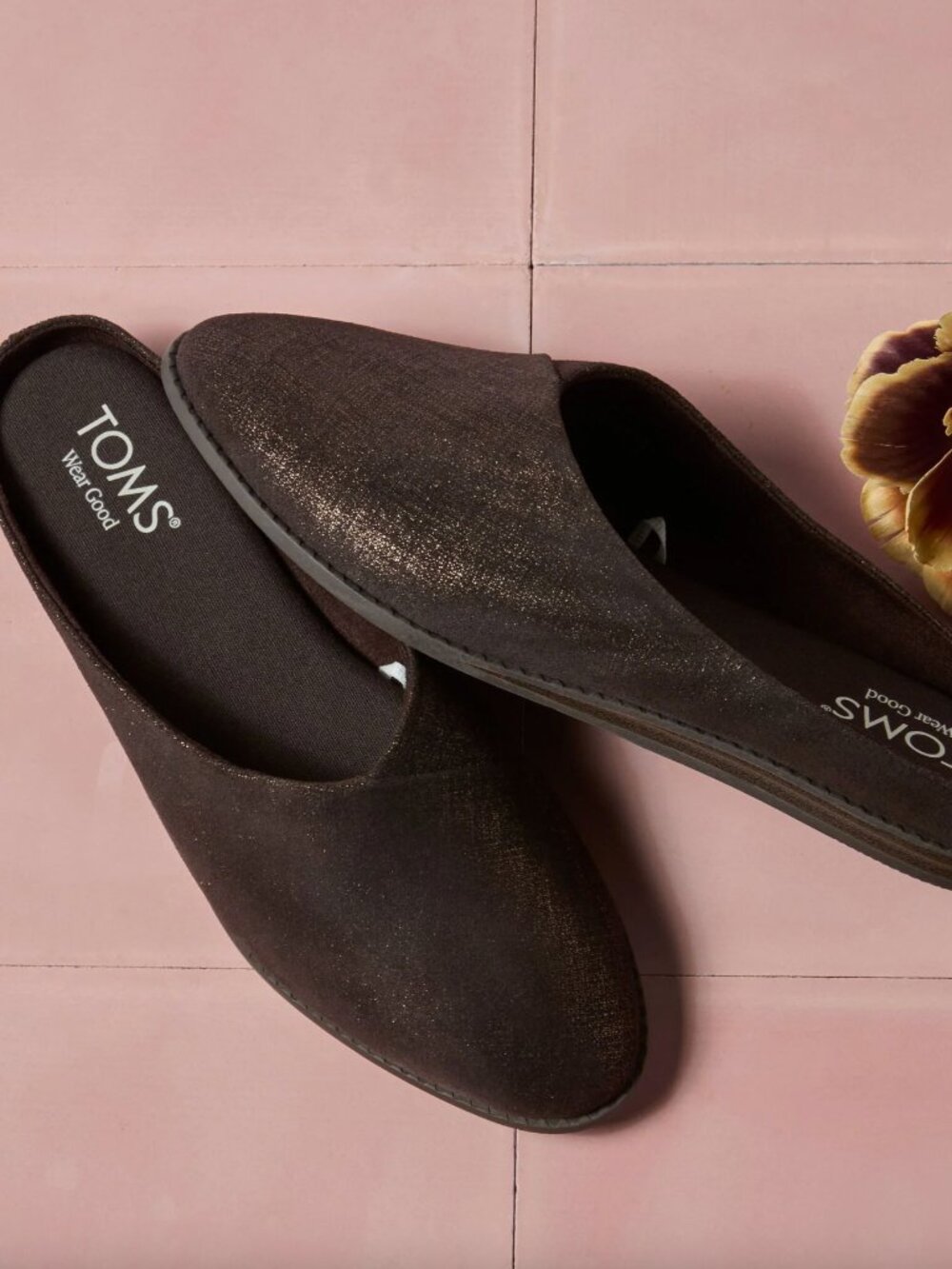 Toms Amelia Mule